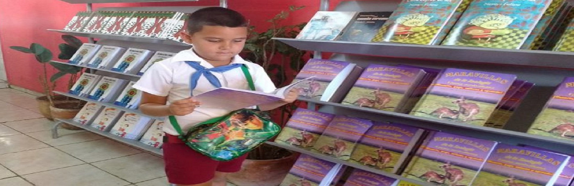 Book Fair in Mayabeque, Cuba Travel